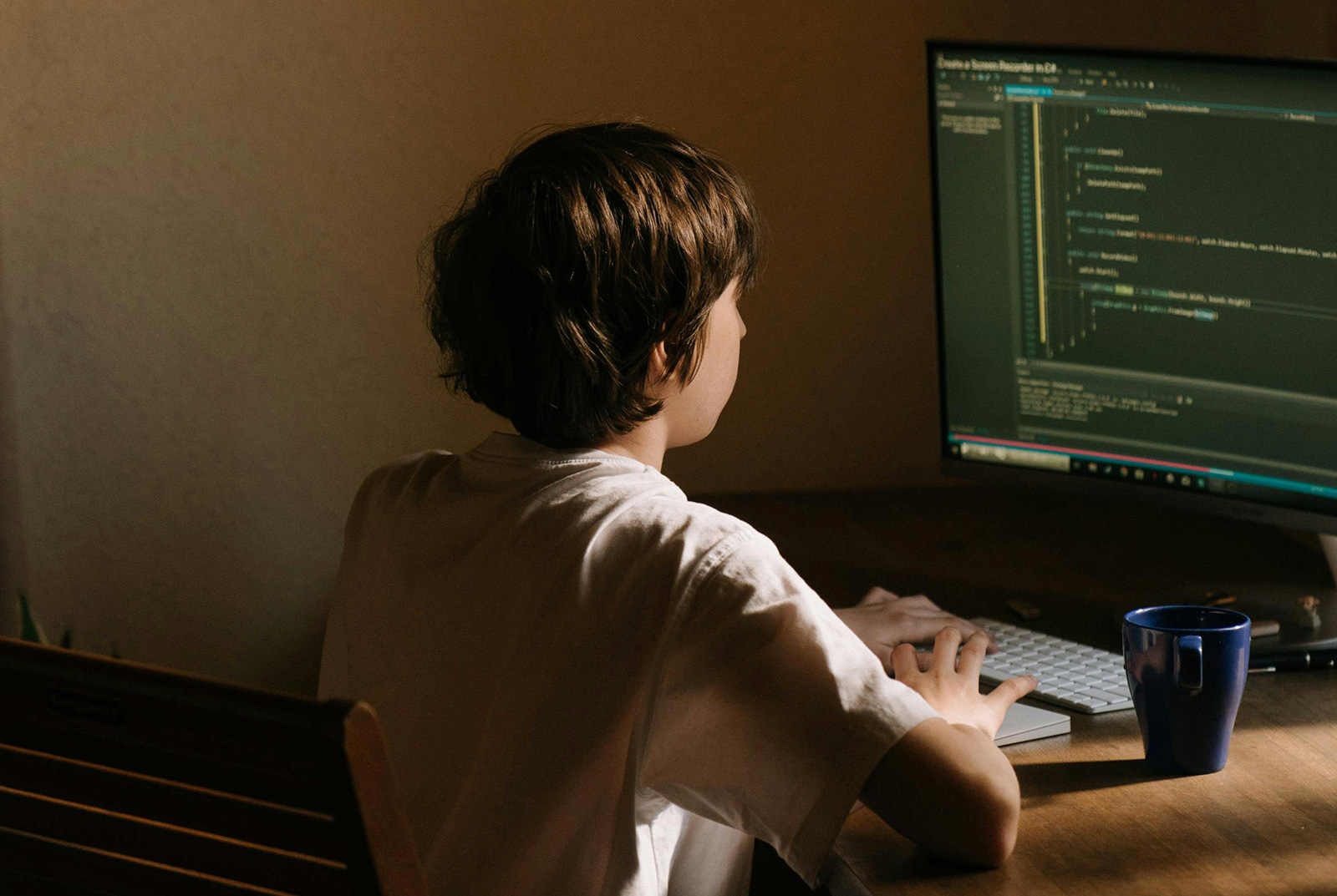 Pemerintahan Terbuka Technology Indonesia Anonymous WhiteHat Penetration Tester